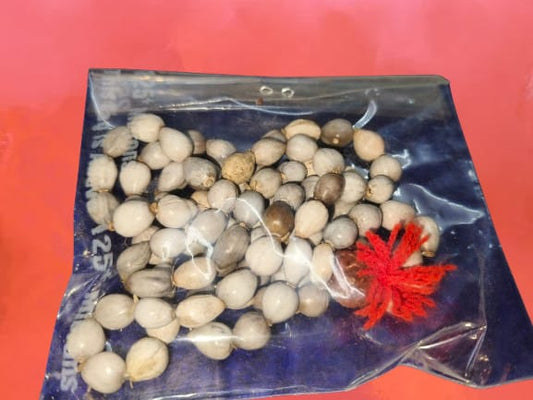 Vyjayanthi mala