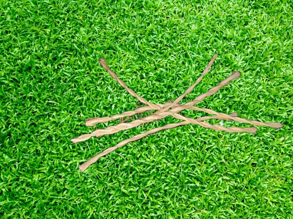 Jilledu wicks / vattulu